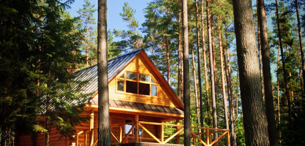 Wooden Cottage In Pine Forest